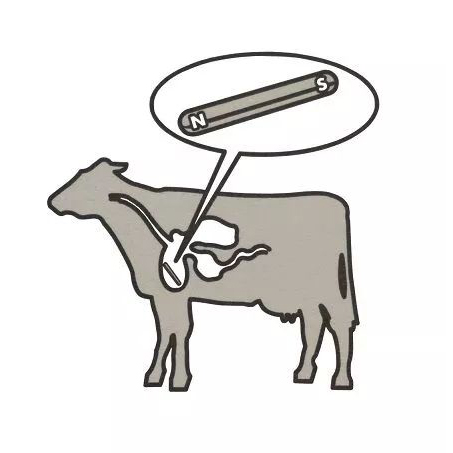 안정적인 산업 성능을 위해 자기 어셈블리가 필수적인 이유는 무엇입니까?